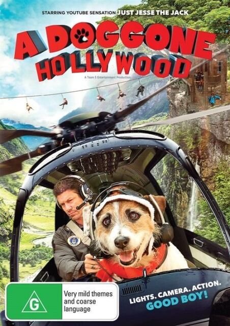 A Doggone Hollywood (DVD, 2017) NEW+SEALED 